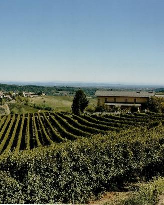 Casale, Vigna e uno splendido panorama