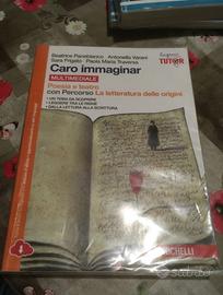 caro immaginar poesia e teatro