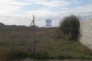 Pardinixeddu, Terreno regolare pianeggiante