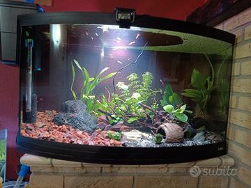 acquario panoramico 120 litri 