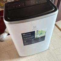 condizionatore portatile Electrolux 200E