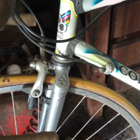 Colnago master olympic taglia 58