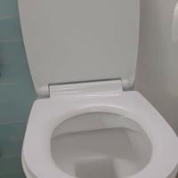 Cerniere softclose per sedile Vignoni