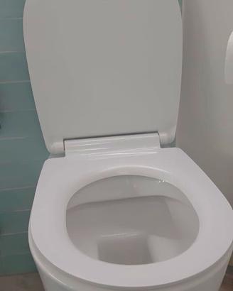 Cerniere softclose per sedile Vignoni