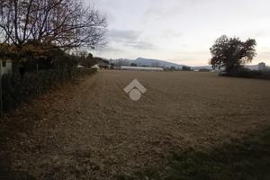 TER. AGRICOLO A SPOLETO