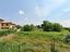 Immagine 8