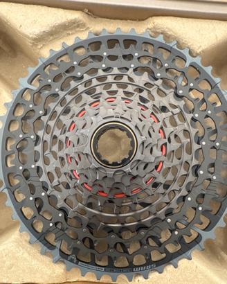 Pacco Pignoni SRAM X0 Eagle XS 1295 T- type 12v
