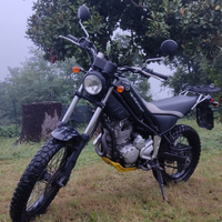 Yamaha Tricker 250