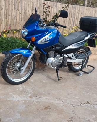 suzuki freewind xf 650