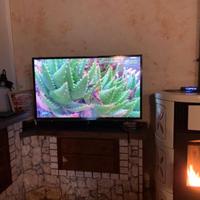 Mobile Porta TV e TV 55 Pollici