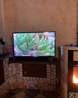 Mobile Porta TV e TV 55 Pollici
