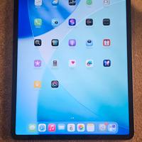 ipad pro 5th gen 256gb LTE 12.9"