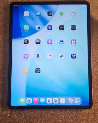 ipad pro 5th gen 256gb LTE 12.9"