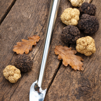 Vanghetto da tartufi Mod. 5 Punta a Lancia