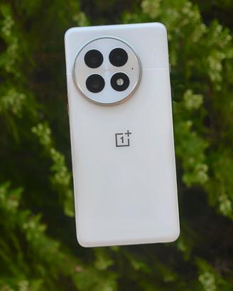 OnePlus 13 16/512 GB – White