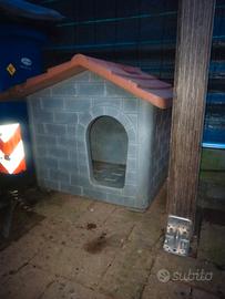 cuccia cane taglia media 