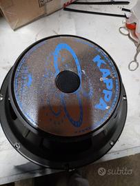 coppia midwoofer 12 pollici 