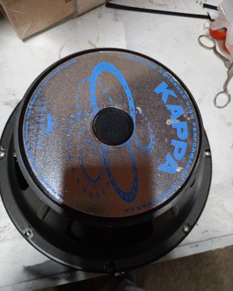 coppia midwoofer 12 pollici 