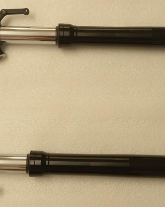 Forcelle Yamaha MT 09 anno 2021-2025