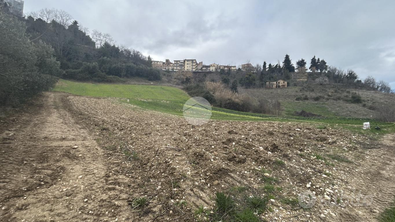 TER. AGRICOLO A RIPATRANSONE - Vista 3