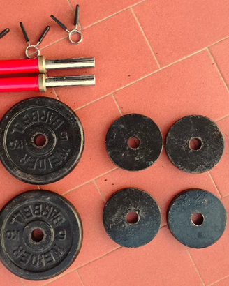 Kit manubri e dischi in ghisa/ferro - 36 kg totali