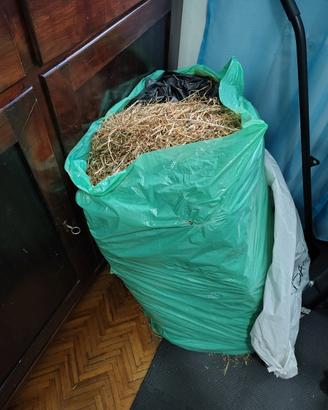 balla di fieno 20kg