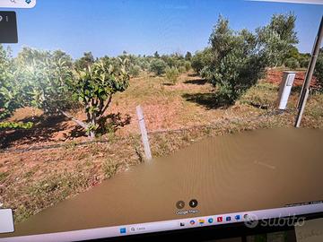 Terreno agricolo agro di Nardo’