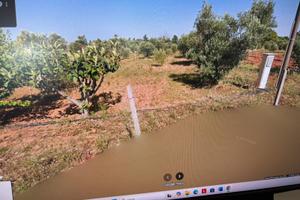 Terreno agricolo agro di Nardo’