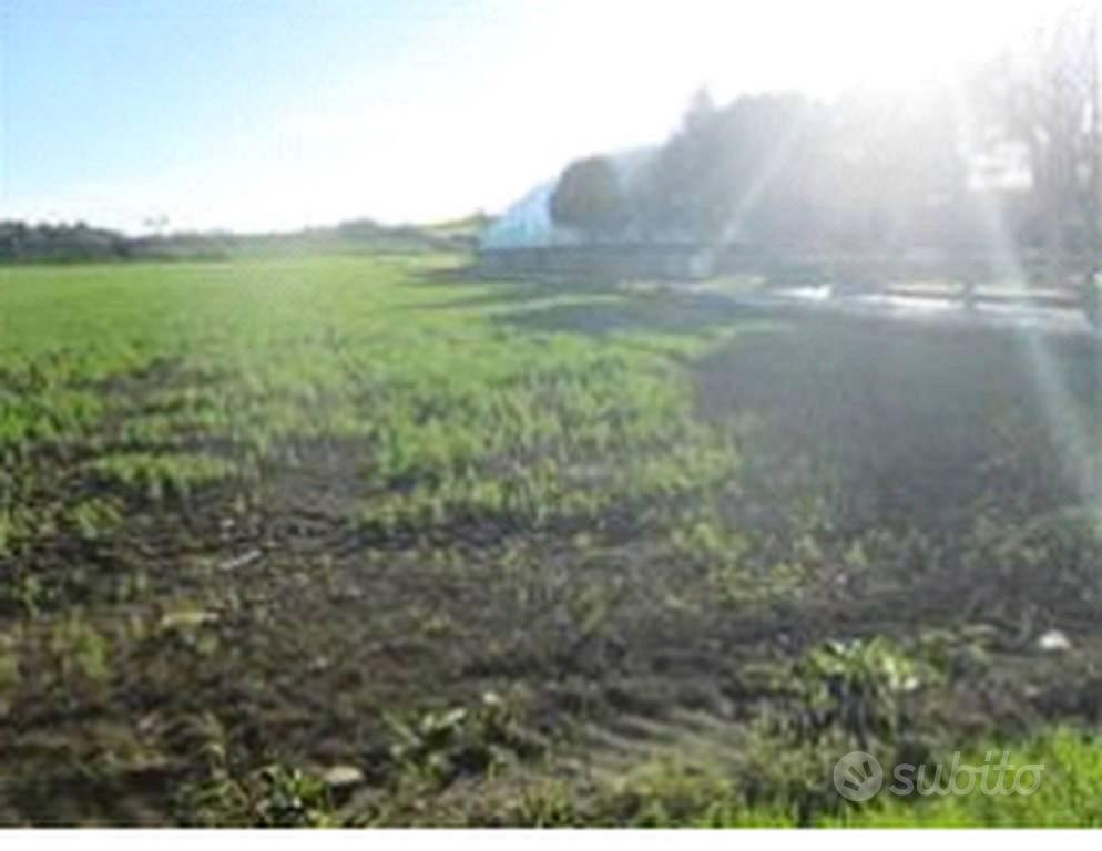Immobile in asta di 83314 m² a Mondolfo - Vista 5