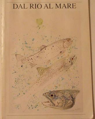 Dal rio al mare  di Giovanni Magnanini