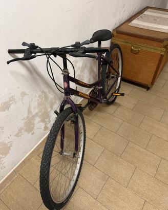 Bicicletta