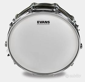 PELLE BATTENTE SABBIATA 14" EVANS UV1  NUOVA!