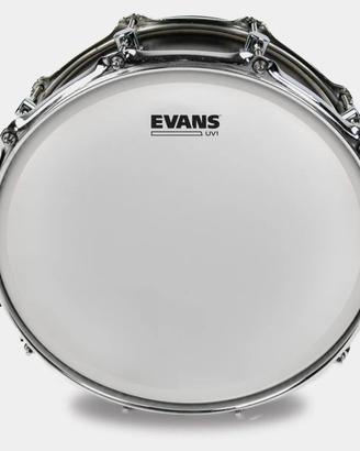 PELLE BATTENTE SABBIATA 14" EVANS UV1  NUOVA!