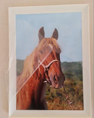Quadro cavallo con stampa in rilievo. Vintage