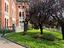 Immagine 8