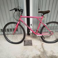 Mountain bike / bicicletta