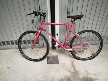 Mountain bike / bicicletta