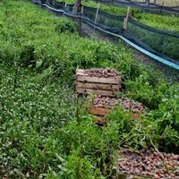 Rete recinto per allevamento lumache