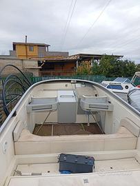 Barca MERCURY MerCruiser-MCM D254