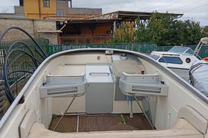 Barca MERCURY MerCruiser-MCM D254