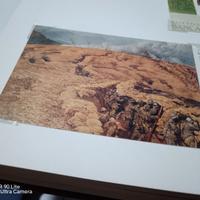 lotto cartoline da collezione 