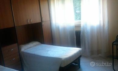 Posto letto libero da inizio maggio