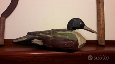 Vecchi richiami anatre