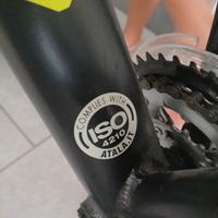 Bici MTB