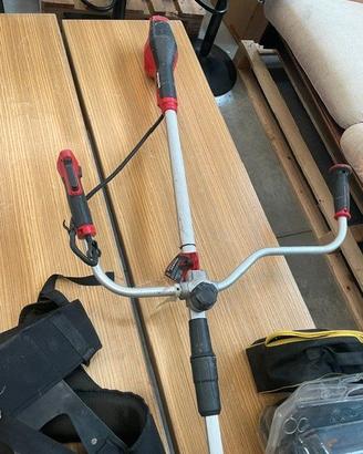 Einhell AGILLO 36/255 - Decespugliatore