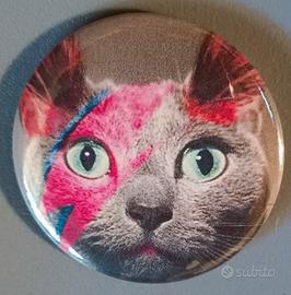 SPILLA GATTO BOWIE 