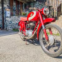 MV Agusta 175