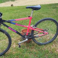 mtb bianchi