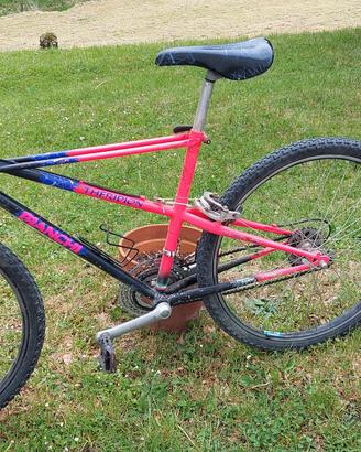 mtb bianchi