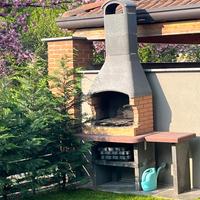 Barbecue Palazzetti in muratura – ottime condizion